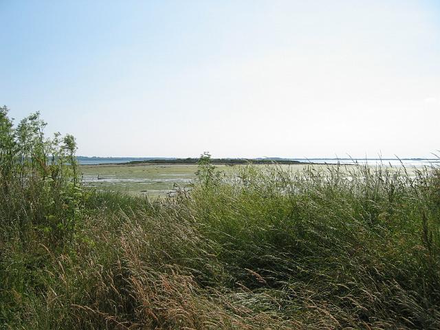 IMG_4577.jpg