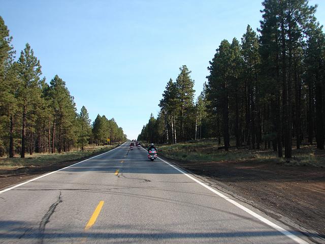 ROUTE  66 353.jpg