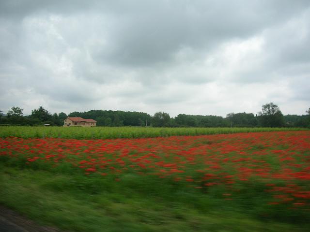 INTER VILLEFRANCHESUR SAONE 2007 070.jpg