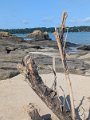 2025-06-14 10064 09h54 ST JACUT DE LA MER