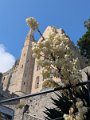 2025-06-15 20139 10h03 MONT ST MICHEL VISITE