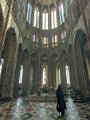 2025-06-15 20171 10h47 MONT ST MICHEL VISITE