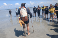2025-06-15 20284 14h23 MONT ST MICHEL BAIE